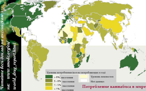 Когда сажают марихуану Когда сажают марихуану
